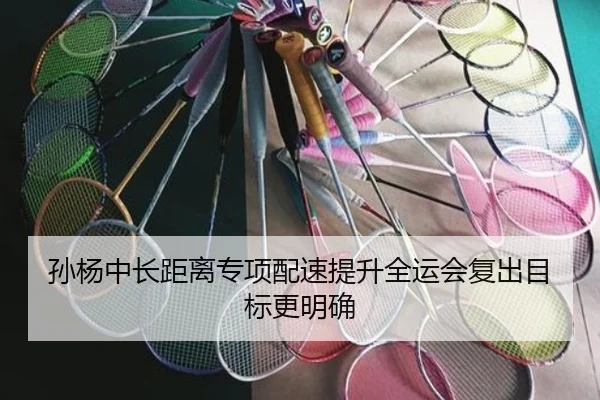 孙杨中长距离专项配速提升全运会复出目标更明确