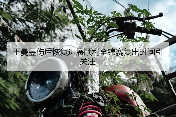王曼昱伤后恢复进展顺利全锦赛复出时间引关注